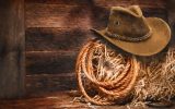 The Texan Saloon logo